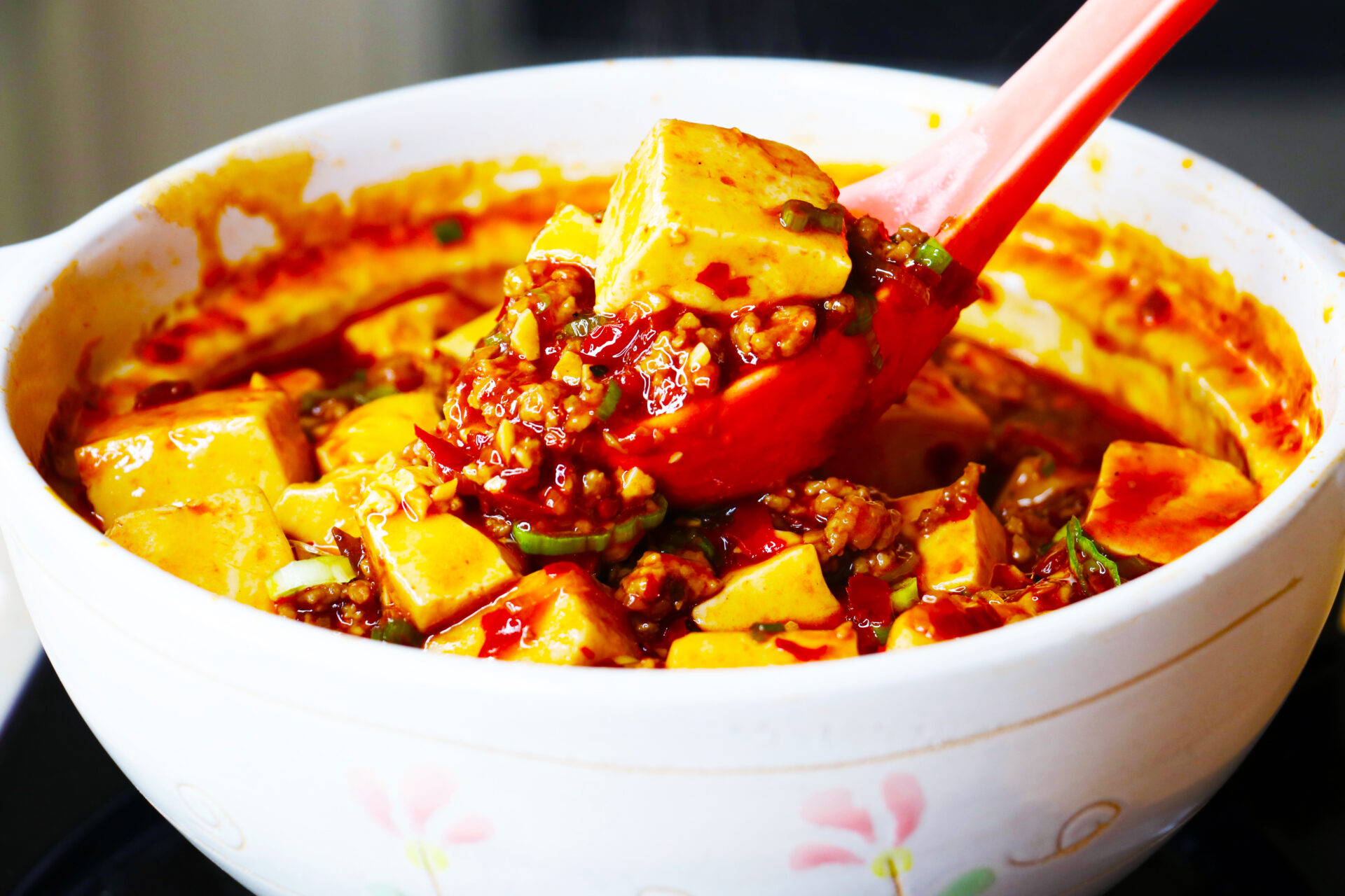 Mapo Tofu