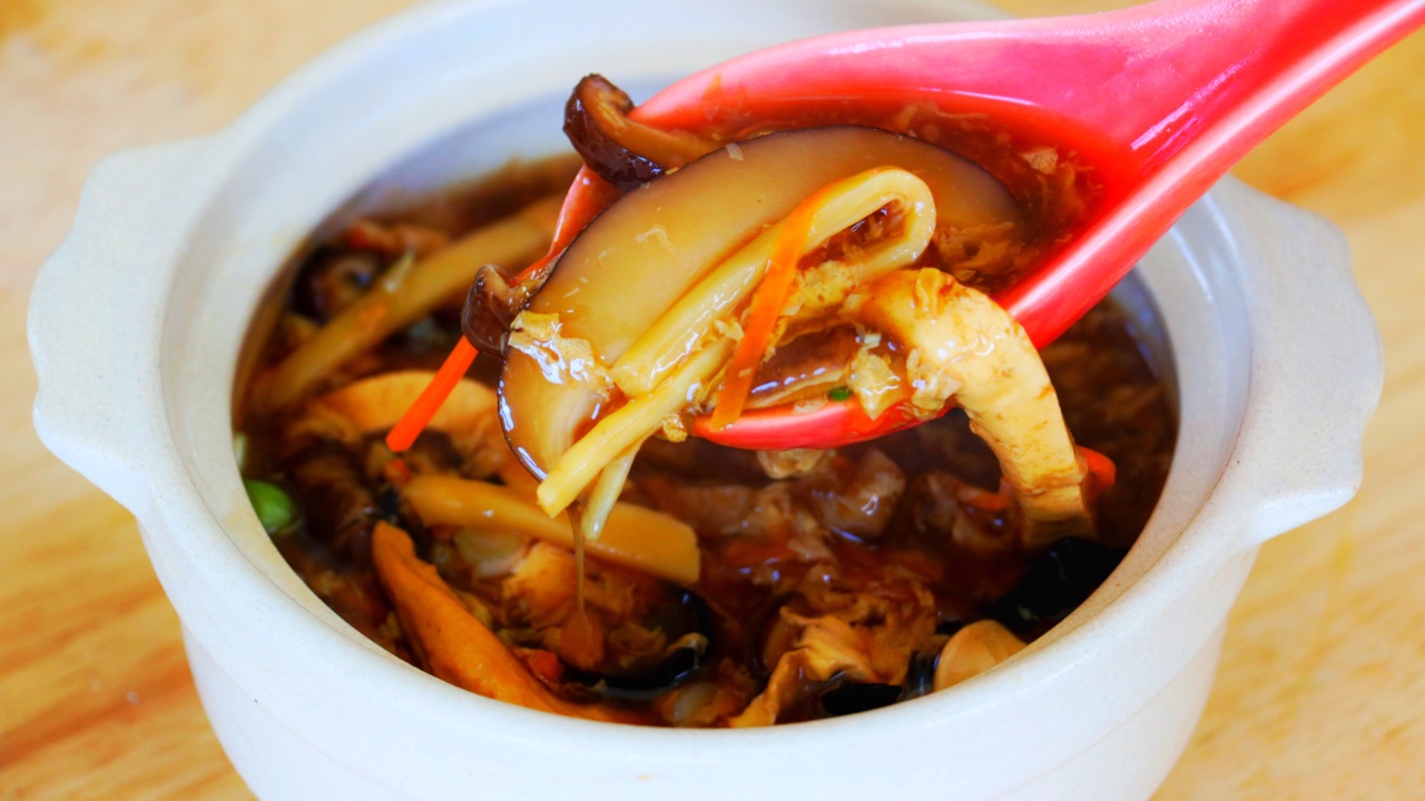 Chicken Hot and Sour Soup